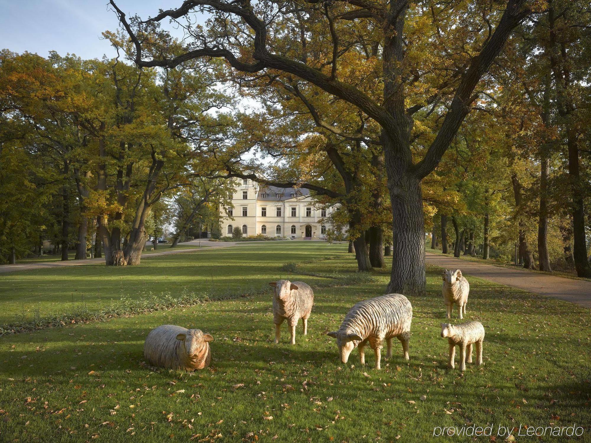 Chateau Mcely Hotel Exterior photo